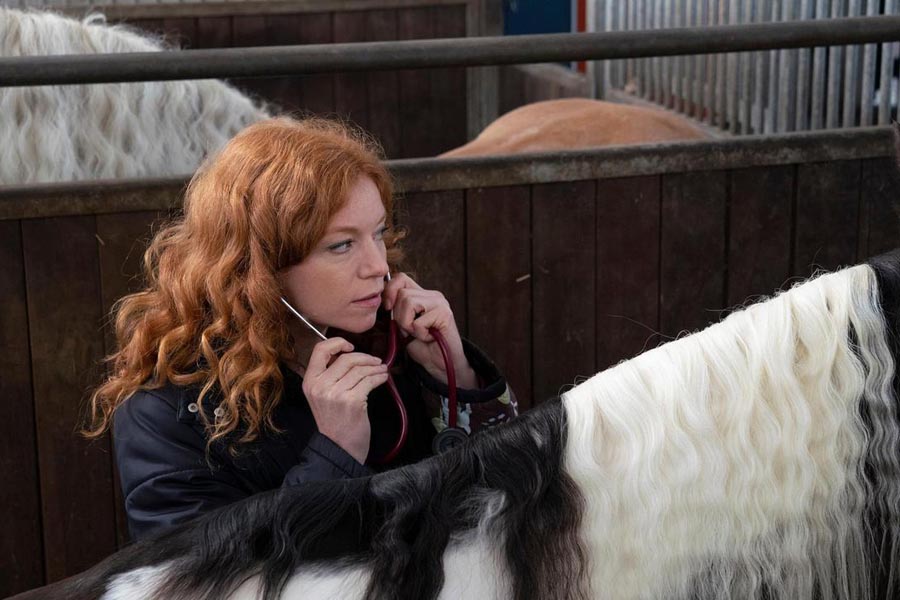 NORD BEI NORDWEST - Dinge des Lebens - Marleen Lohse
